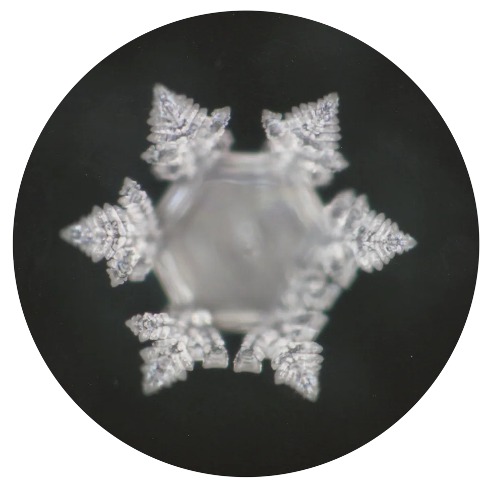 Patrón de simetría hexagonal observado en una muestra